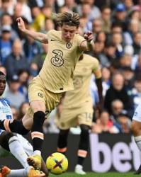  切尔西爆冷负于布莱顿，争四形势愈发严峻